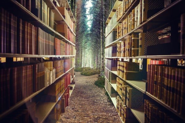 Peinture murale Librairie de la forêt