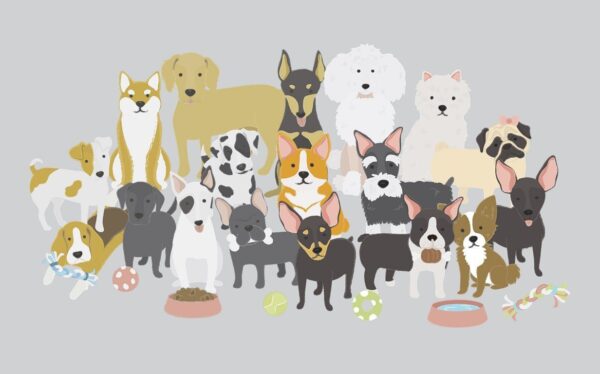 Peinture murale Groupe de chiens