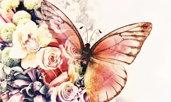 Papier peint Papillon avec des fleurs