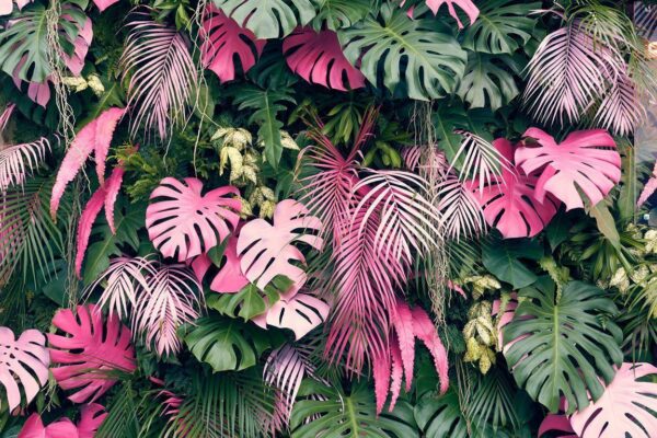 Sticker mural Arbres Tropicaux