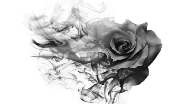 Peinture murale Rose qui fume