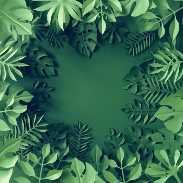 Peinture murale Feuilles tropicales