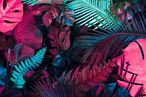 Sticker mural Feuilles tropicales