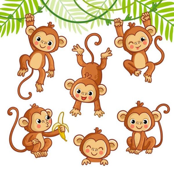 Poster XXL Petit singe