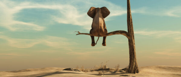 Peinture murale Observateur d'éléphants