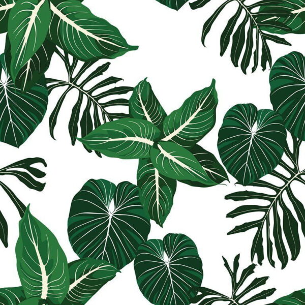 Peinture murale Feuilles tropicales