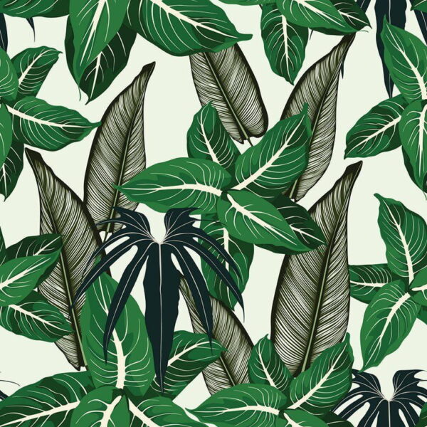 Peinture murale Plantes de la jungle