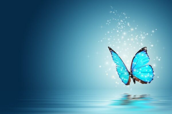 Peinture murale Papillon bleu