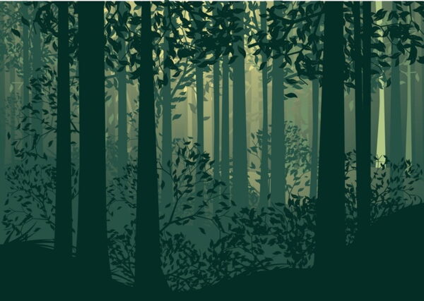 Peinture murale Forêt mystérieuse