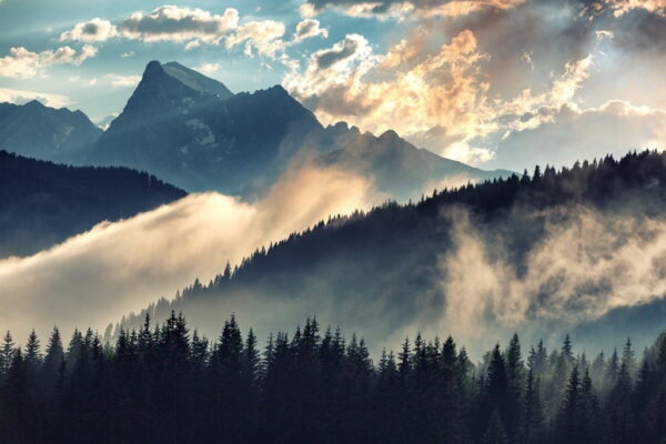 Peinture murale Brouillard du matin