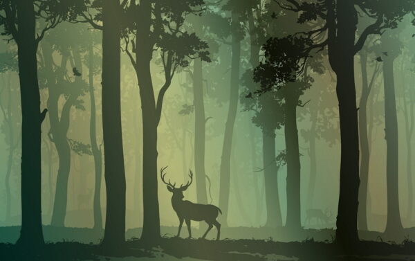 Poster XXL Forêt Mystérieuse