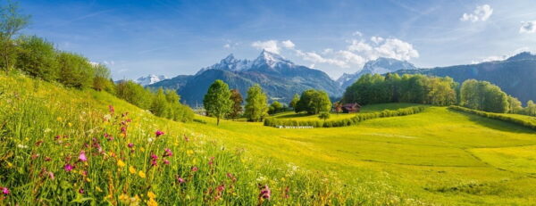 Peinture murale Vue dans les Alpes