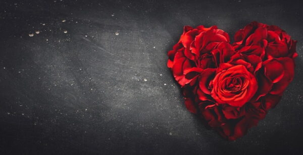 Poster XXL Roses rouges