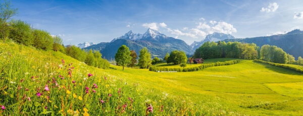 Peinture murale Paysage de montagne
