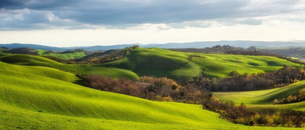 Peinture murale Champs en Toscane