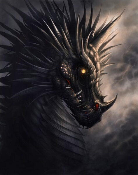 Poster XXL Dragon noir