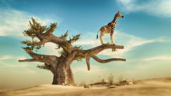 Peinture murale Girafe sur un arbre
