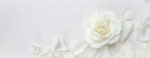 Papiers peints rose blanche