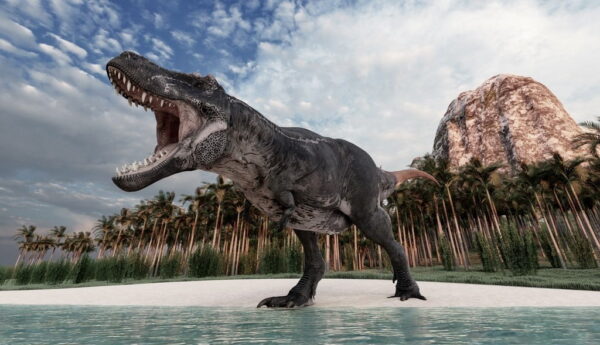 Peinture murale Dinosaure