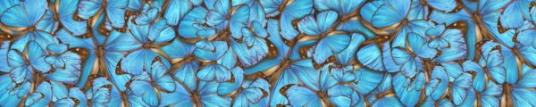 Sticker mural Papillons tropicaux