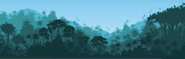 Poster XXL Forêt tropicale