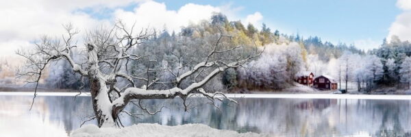 Peinture murale Arbre d'hiver