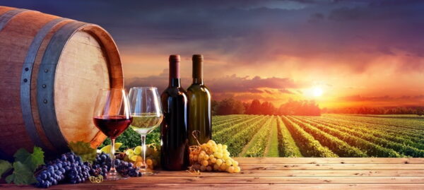 Poster XXL Bouteilles de vin