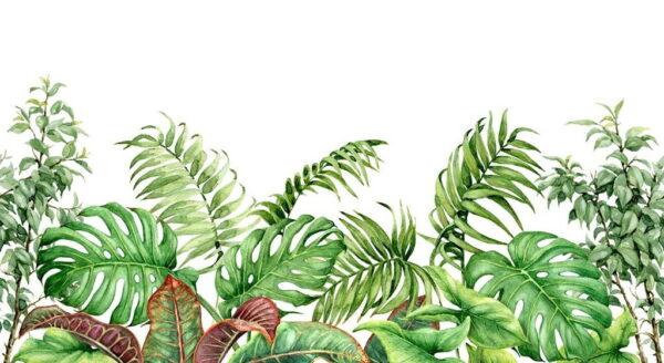 Peinture murale Feuilles tropicales