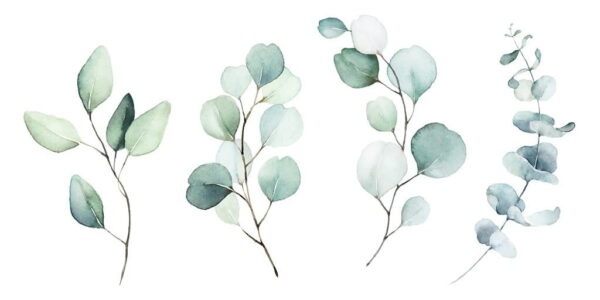 Sticker mural Feuilles d'aquarelle
