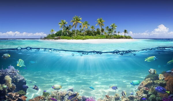 Poster XXL Île Tropicale