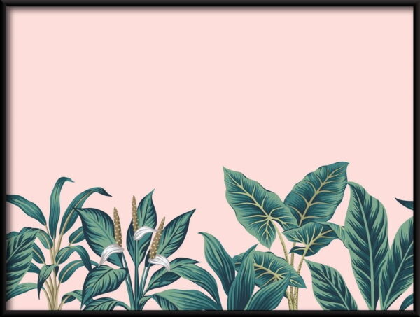 Plantes tropicales – Image 2