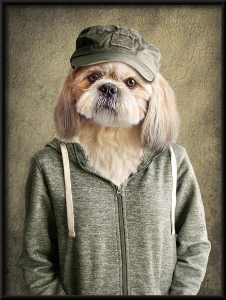 Chien dans une affiche de survêtement – Image 2