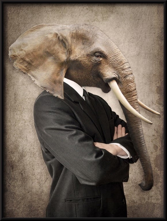 L'éléphant en costume Poster – Image 2