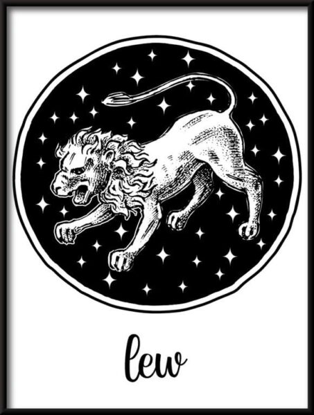 Signes du zodiaque - Lion