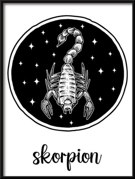 Signe du zodiaque-Scorpion