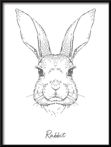 Affiche linéaire lapin
