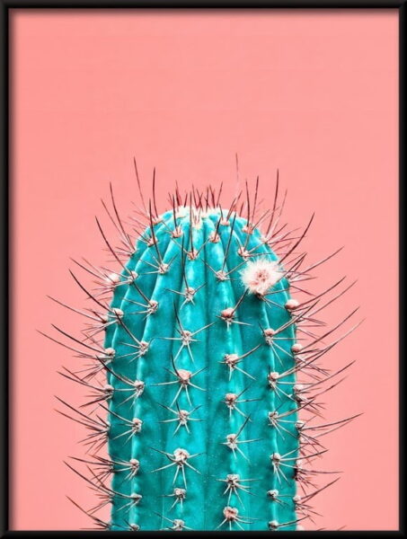 Cactus vert Poster – Image 2