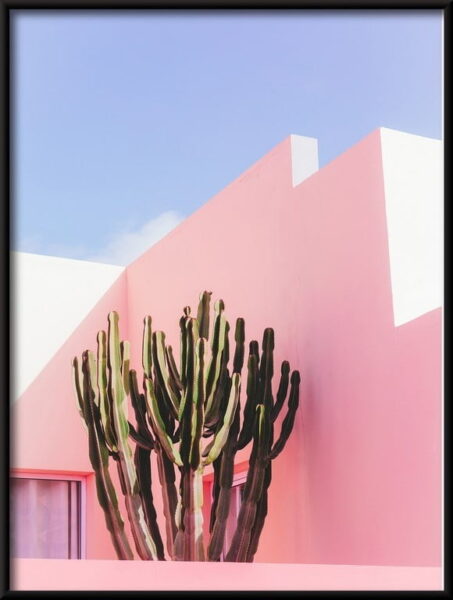 Affiche Cactus sur fond de roses – Image 2