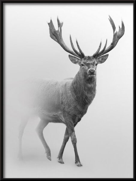 Affiche Cerf dans la brume – Image 4