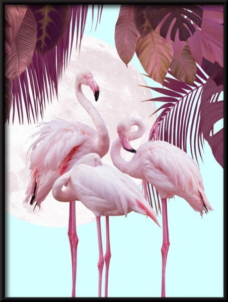 Flamants roses sur le fond de l'affiche de la lune – Image 4