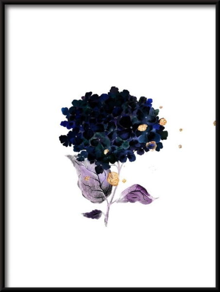 Aquarelle Hortensias 3 Poster