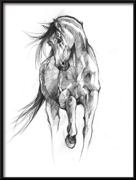 Affiche de dessin de cheval