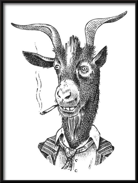 Chèvre avec une cigarette