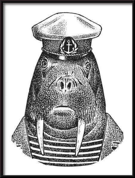Marin de morse Poster
