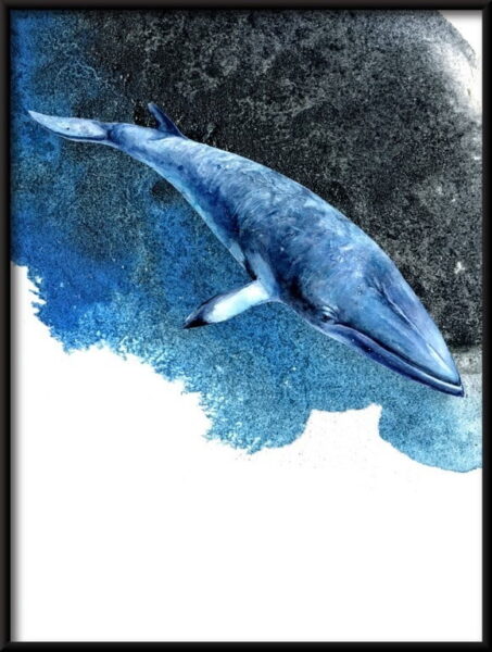Baleine dans l'affiche de l'océan – Image 2