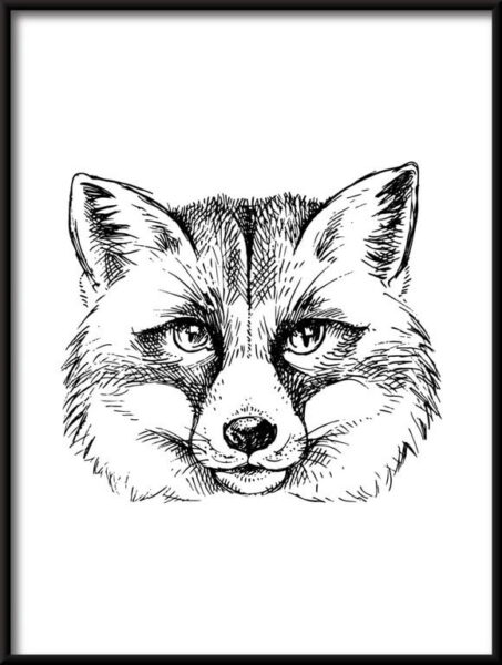 Le renard dessiné Poster