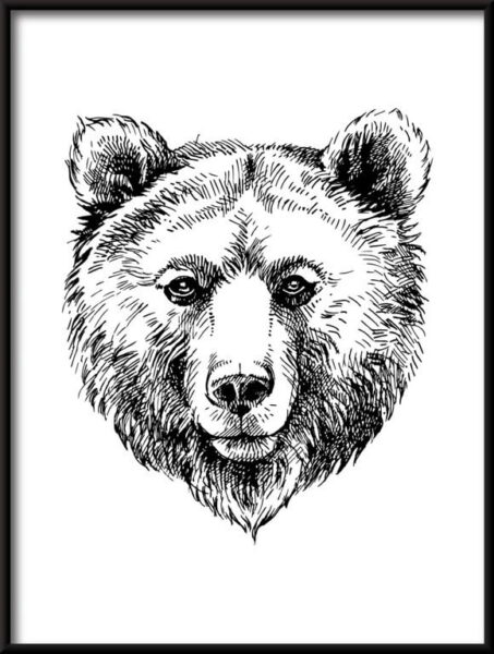 L'ours dessiné Poster