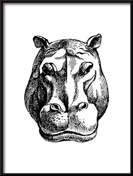 Hippopotame dessiné Poster