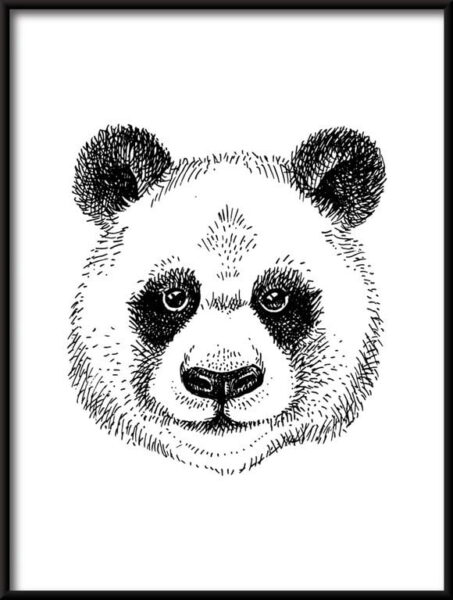 Panda dessiné Poster