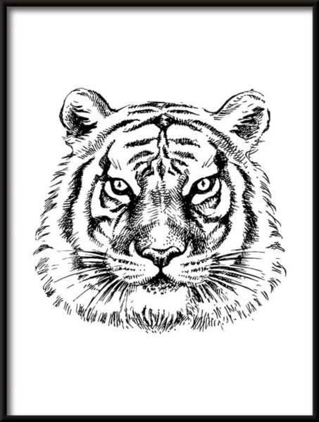 Tigre dessiné Poster